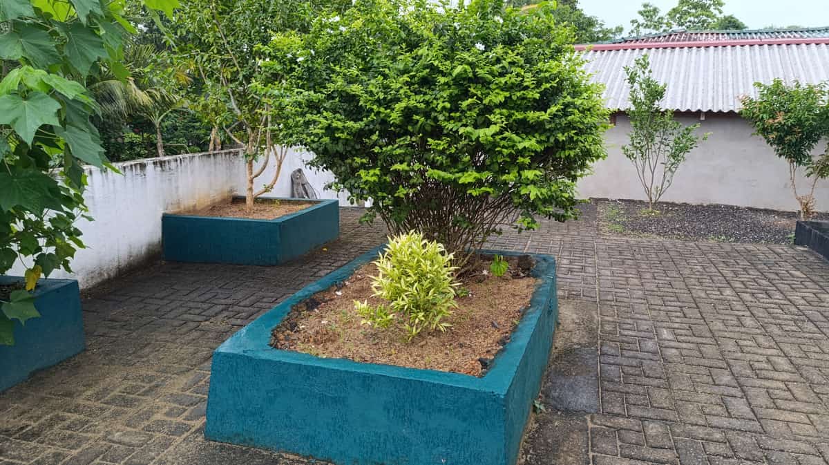 කඨින පිංකම