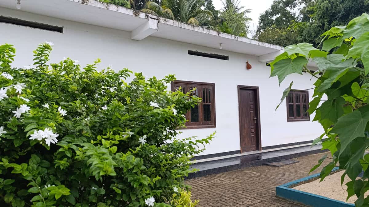 අලුත් අවුරුදු උත්සවය