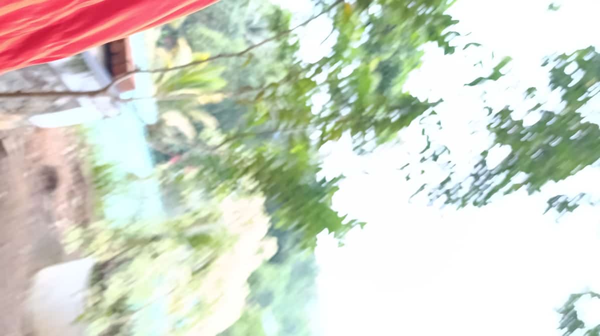පුනරුදය