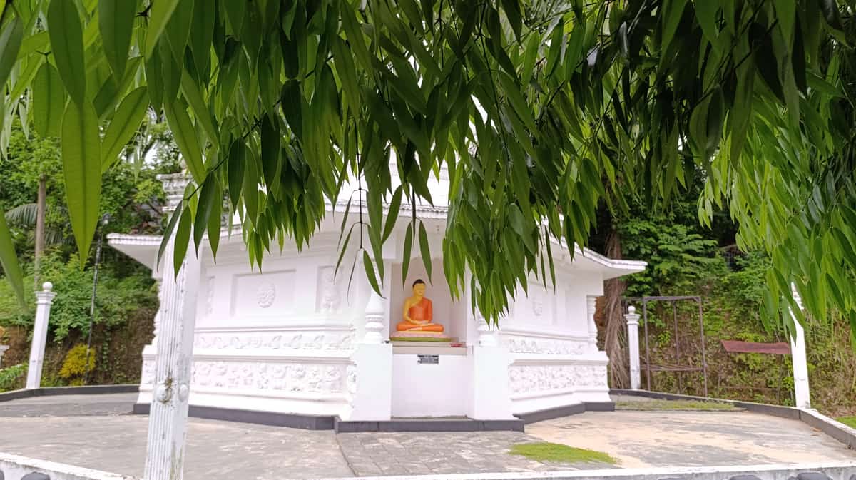 පූජනීය බෝධිය රැකබලා ගැනීම
