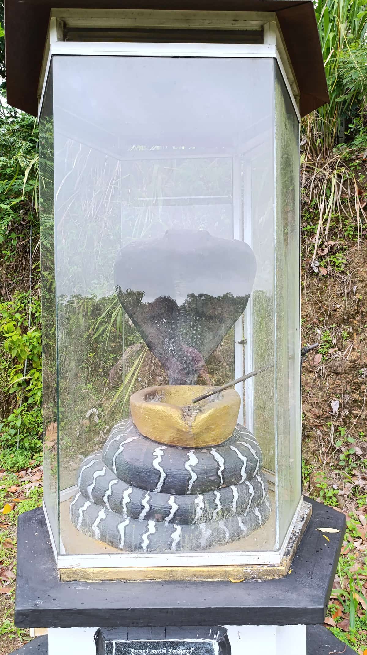 දෛනික භාවනා වැඩසටහන්