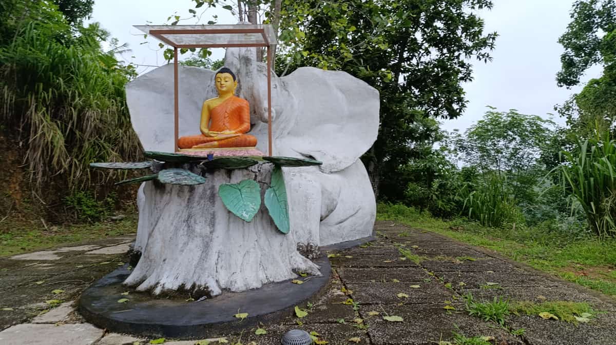 බෝධිය