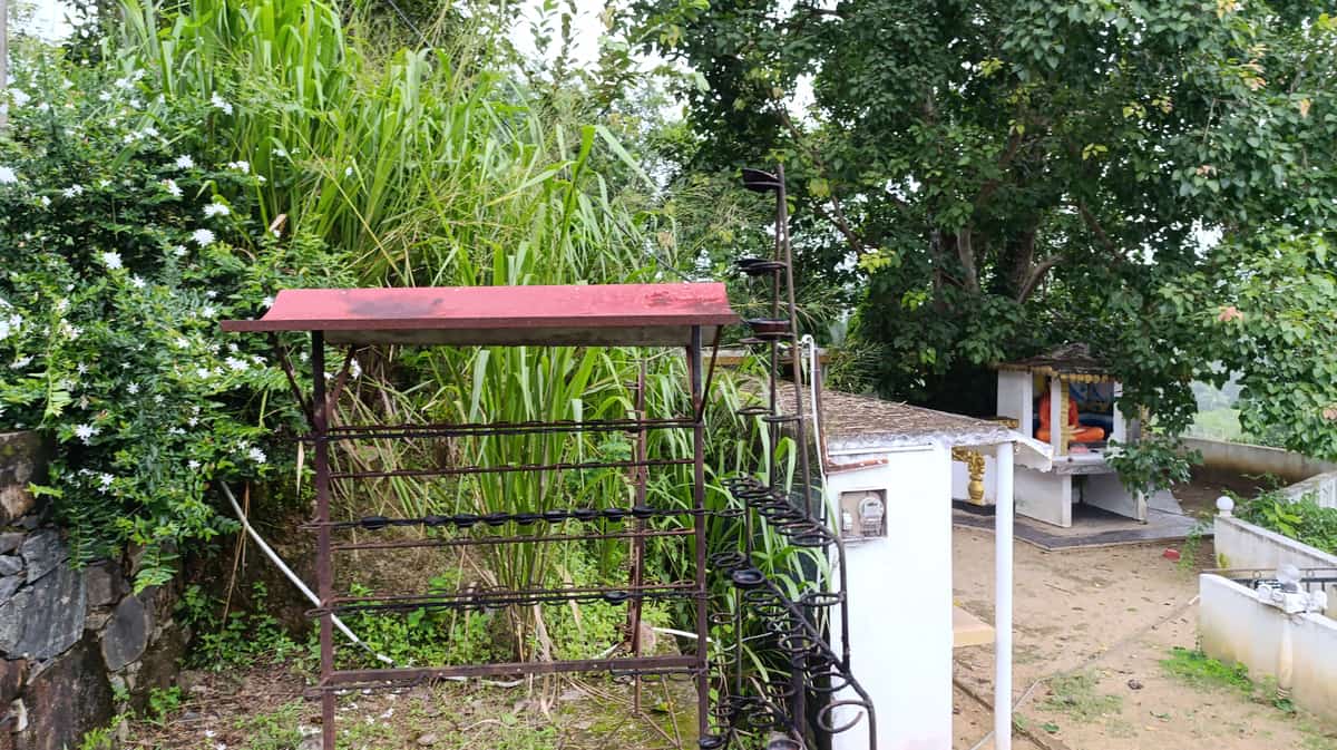 සමාජ සේවය